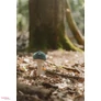 Kép 4/10 - Little Dutch plüss csörgő gomba Forest Friends